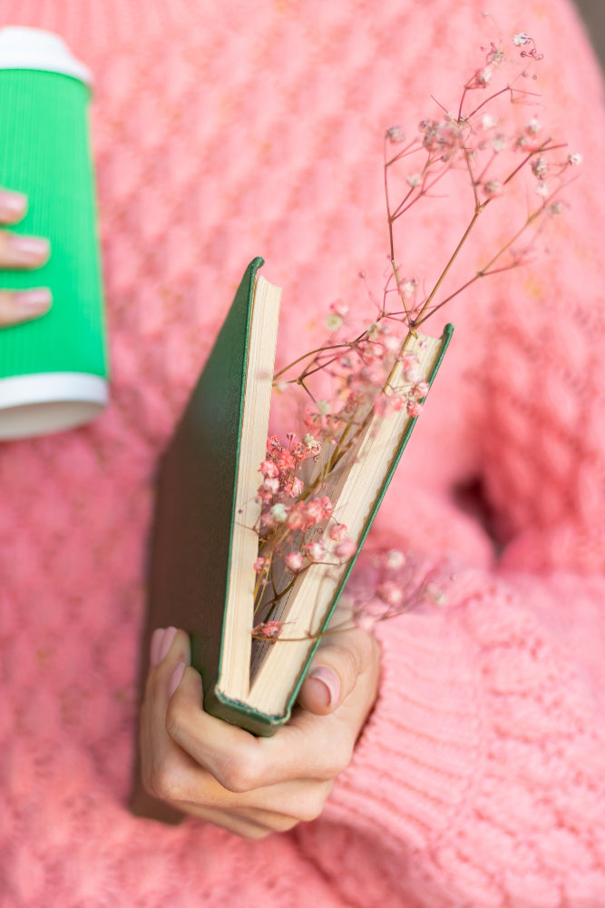 7 Steps on How to Create a Personal Bible Study Plan