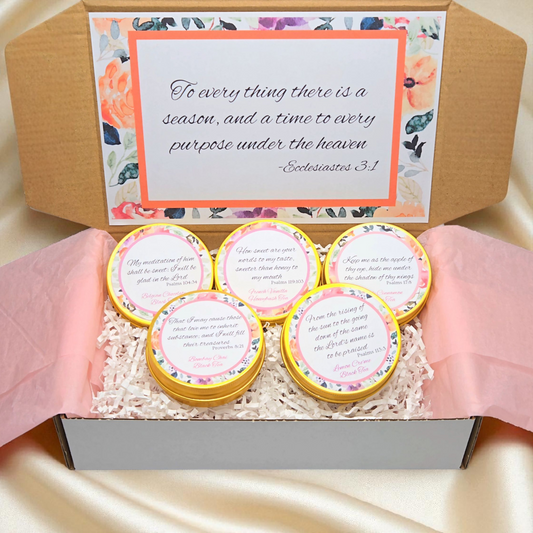 Seasons of Life Fall Tea Sampler with Bible Verse Tin Tea
