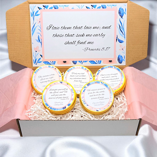 Seek and Find Winter Tea Sampler with Bible Verse Tea Tins