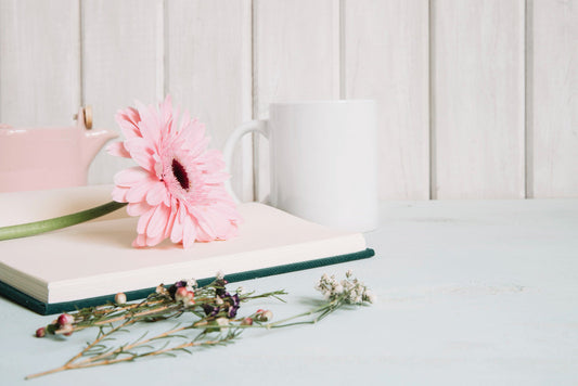 No Saviour Beside Me: A Devotional Guide on Idolatry in the Bible, Repentance Verses, and Returning to God Alone
